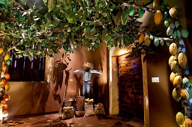 Chocolate Tour - KahKow Experience - The important distinction between a chocolate visit and a workshop