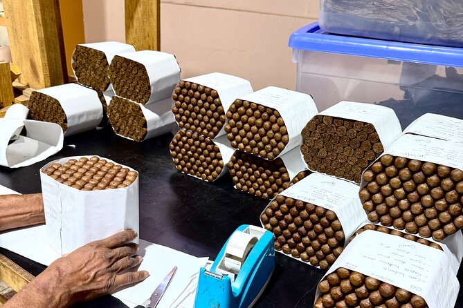 Cigar Factory Tour in Puerto Plata - Timing, weather, and booking details