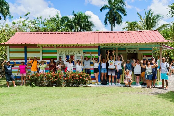 City Tour & Half-Day Safari Experiences - A five-hour look at Dominican daily life