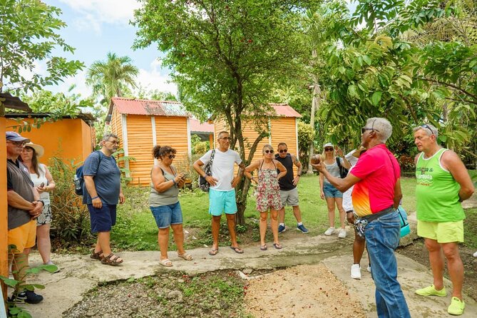 City Tour & Half-Day Safari Experiences - The Basilica of Our Lady of Altagrace in Higüey