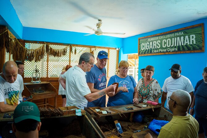 City Tour & Half-Day Safari Experiences - What the open safari truck adds