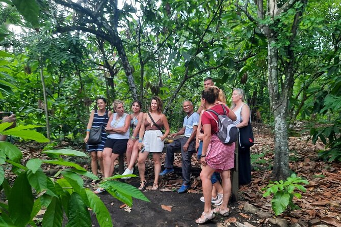 Cocoa & Artisan Chocolate Route with an Historical Tour in Puerto Plata City - Why the cacao farm makes this tour special