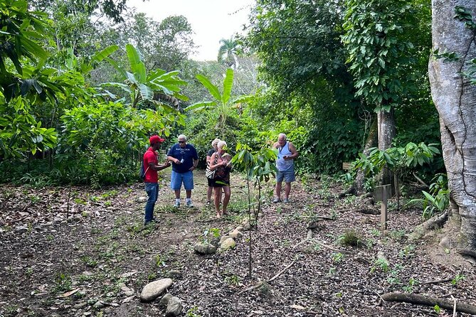 Cocoa & Artisan Chocolate Route with an Historical Tour in Puerto Plata City - Transportation, timing, and private-tour questions