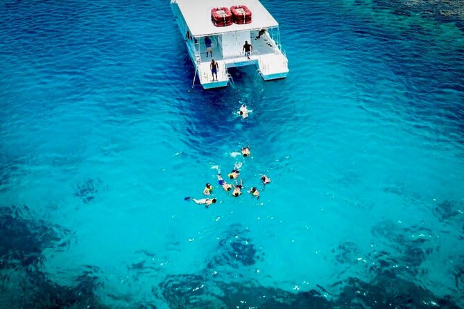 Crucero de Fiesta y Snorkel en Punta Cana - Drinks, fruit, and the party atmosphere