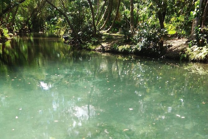 Damajagua The 7 waterfalls excursion - Amber Cove & Taino bay - Why Damajagua is more than a waterfall photo stop