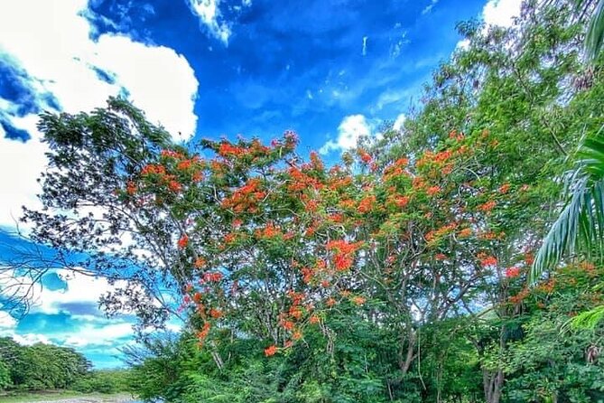 Damajagua The 7 waterfalls excursion - Amber Cove & Taino bay - The guides make the hard parts manageable
