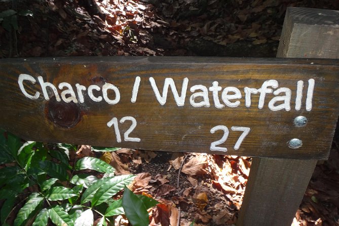 Damajagua Waterfalls for Cruise Ship Passengers - The right shoes make a bigger difference than you expect