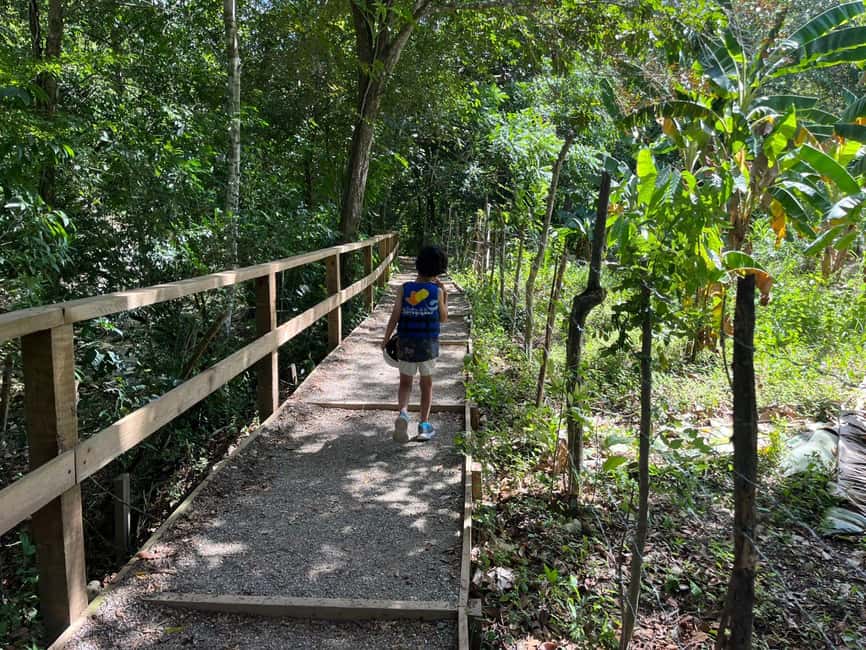 Damajagua Waterfalls Tour with Lunch - Taking the harder route through up to seven falls