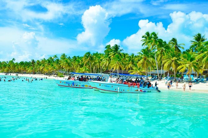 Day Trip to Saona Island with Lunch and Open Bar - Key points to know before you book