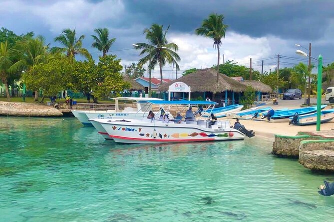Day Trip to Saona Island with Lunch and Open Bar - Palmilla Beach and the Caribbean payoff