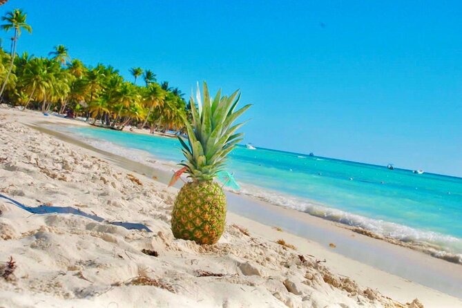 Day Trip to Saona Island with Lunch and Open Bar - What the $85 price really covers