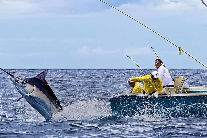 Deep Sea Fishing Half Day - How trolling fishing shapes the morning