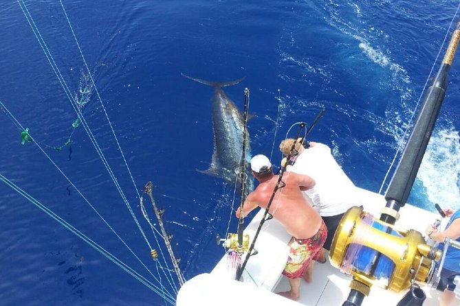 Deep Sea Fishing Tour - Quick points before you book