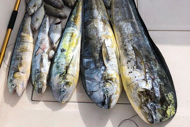 Deep Sea Fishing Tour - Is $89.99 a fair price?