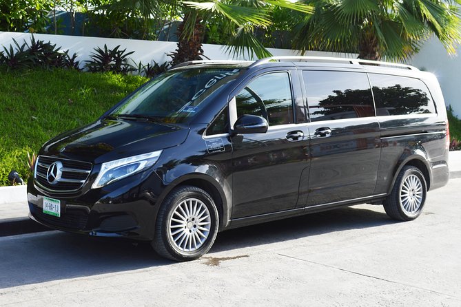 Departure Luxury Transportation: Hotels to Punta Cana International Airport(1-5) - A simple final ride to Punta Cana Airport