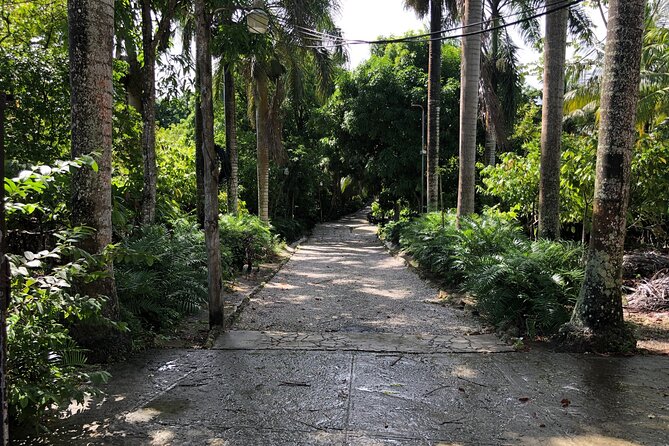 Discover Dominican life - A different side of Punta Cana begins after the resorts
