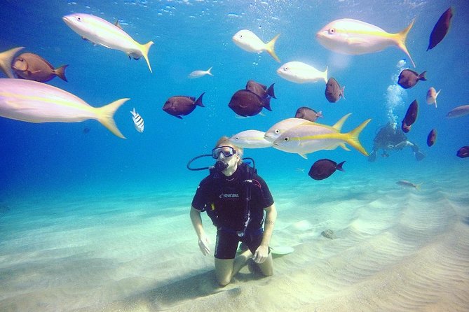Discover Scuba Diving - Key points at a glance