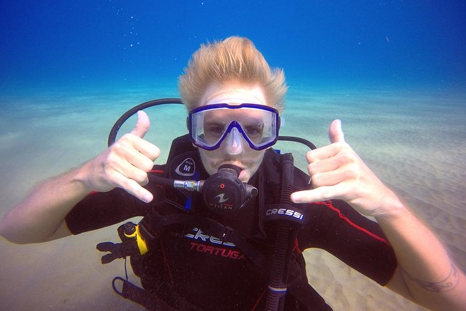Discover Scuba Diving - What the three-hour Sosua session is really like