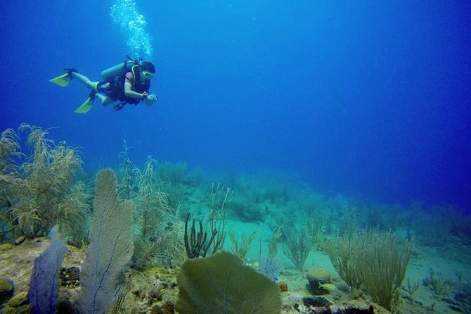 Discover Scuba Diving - Practicing skills before entering the sea