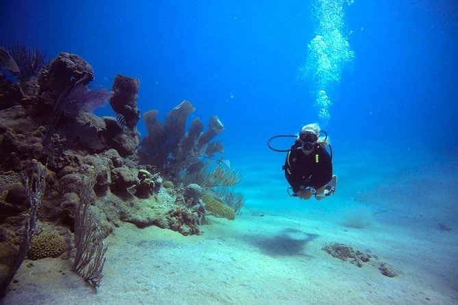 Discover Scuba Diving - A short boat ride with Captain Domingo