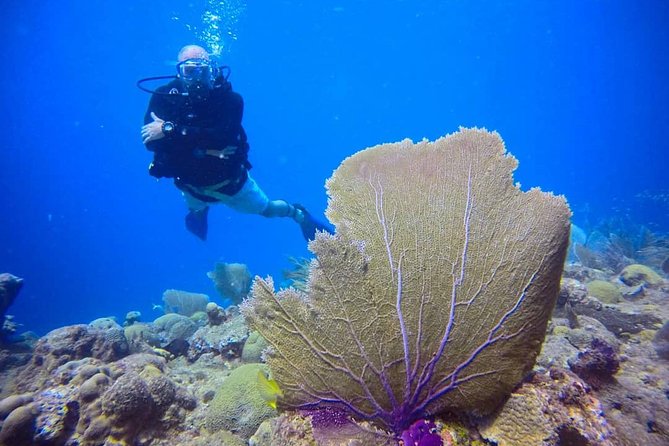 Discover Scuba Diving - The instructors and the human side of the session