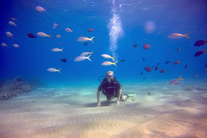 Discover Scuba Diving - What is included for $115