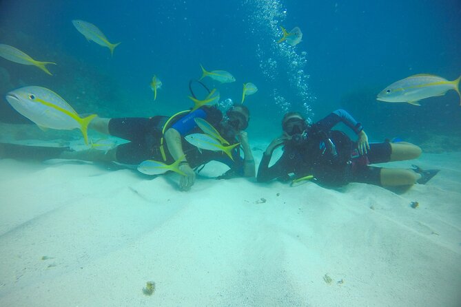 Discover Scuba Diving - DSD - Is $99 a Fair Price?