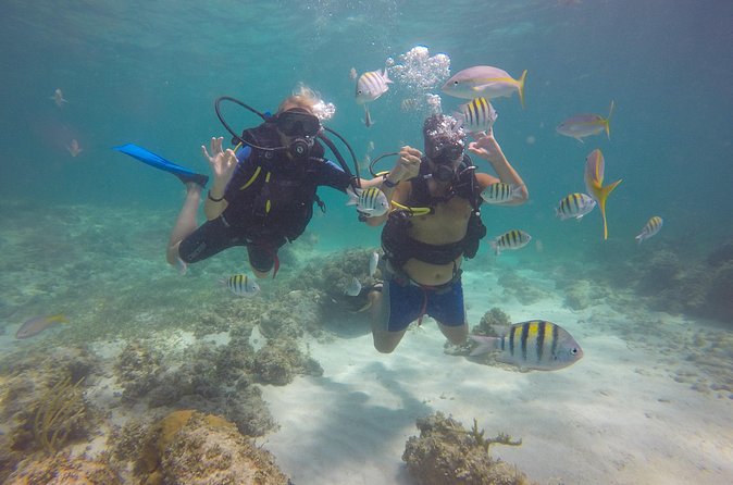 Discover Scuba Diving - DSD - Who Will Like This Experience Most