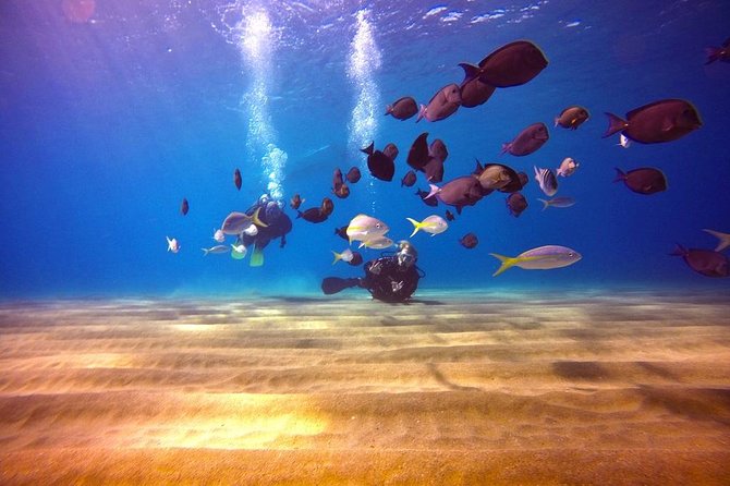 Discover Scuba Diving - Starting at Dive Cabarete with a short video