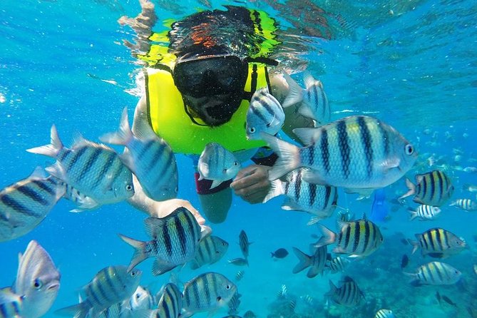 Discover Sosua's Underwater World & Beach Day - Three Rocks is the first underwater stop