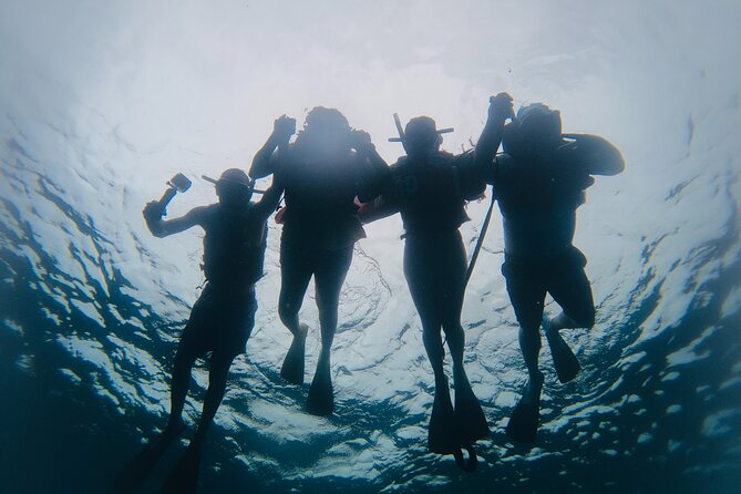 Discover Sosua's Underwater World & Beach Day - What the strong rating tells you, and what it does not