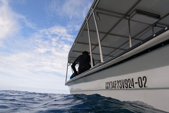 Discover Sosua's Underwater World & Beach Day - Timing, cancellation, and small practical matters
