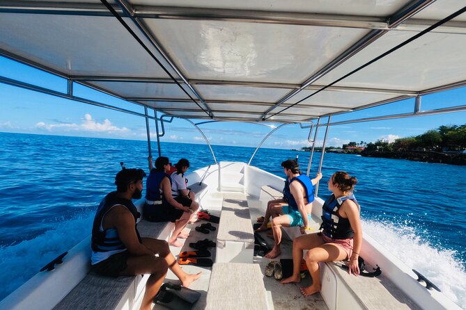 Discover Sosua's Underwater World & Beach Day - Sosua Bay adds a second chance to see fish