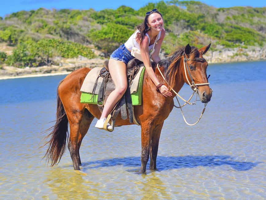 Discover the Trails of Punta Cana on a Horseback Ride - How the $40 price works out