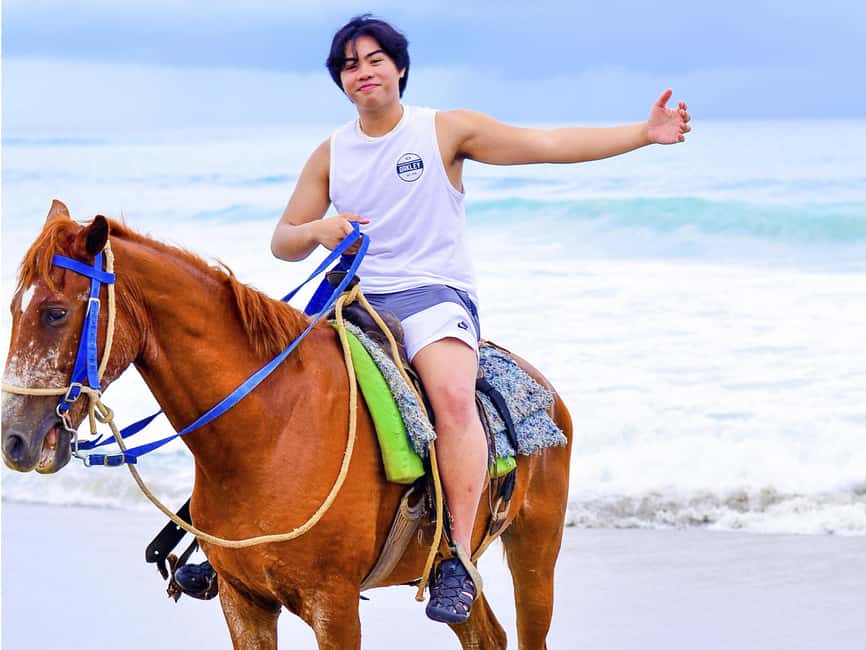 Discover the Trails of Punta Cana on a Horseback Ride - Guides, languages, and the human side of the ride