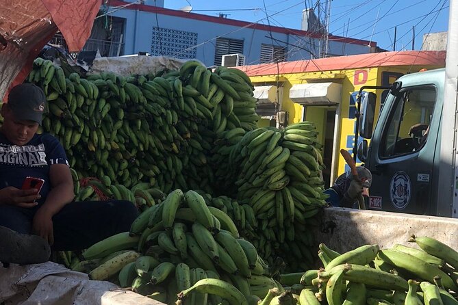 discovery and adventure of the local Dominican life in small group - Lunch beside the Chavon River