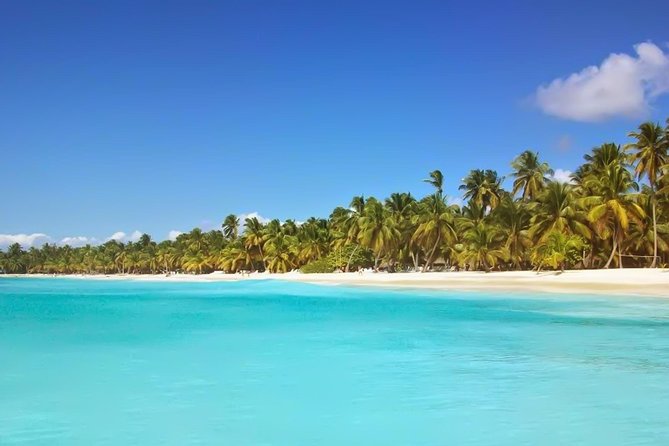 Discovery Package Saona Island & Buggies From Punta Cana - Two Punta Cana days for $112