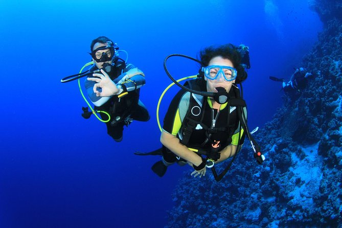 Diving for Certified Divers, 2 Tanks Sosúa Bay - Why Sosúa Bay works for a two-tank morning