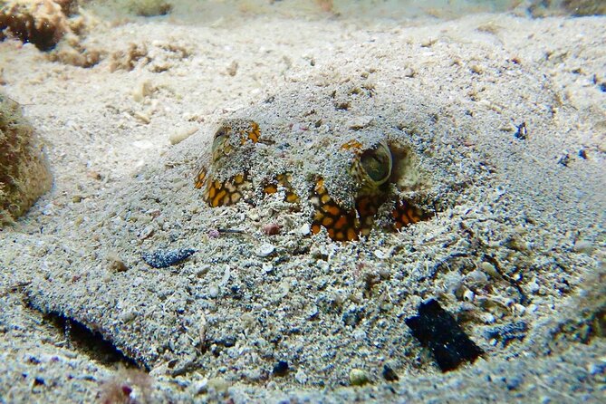Diving for Certified Divers, 2 Tanks Sosúa Bay - What the $125 price really covers