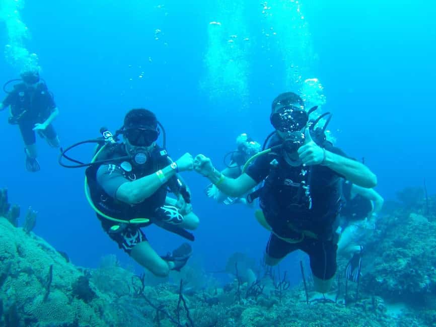 diving without a license catalina island from punta cana - Key points at a glance