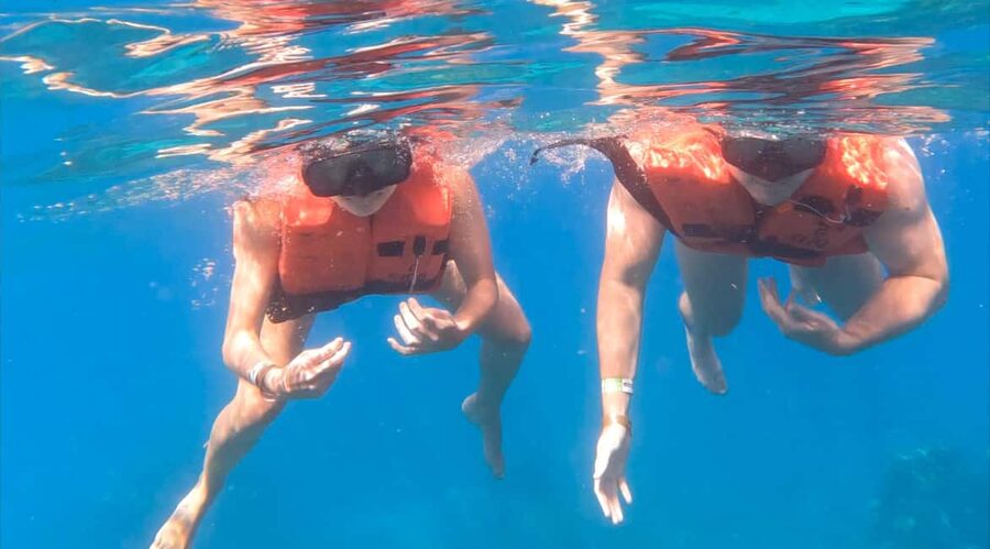 diving without a license catalina island from punta cana - Health rules and who should skip it
