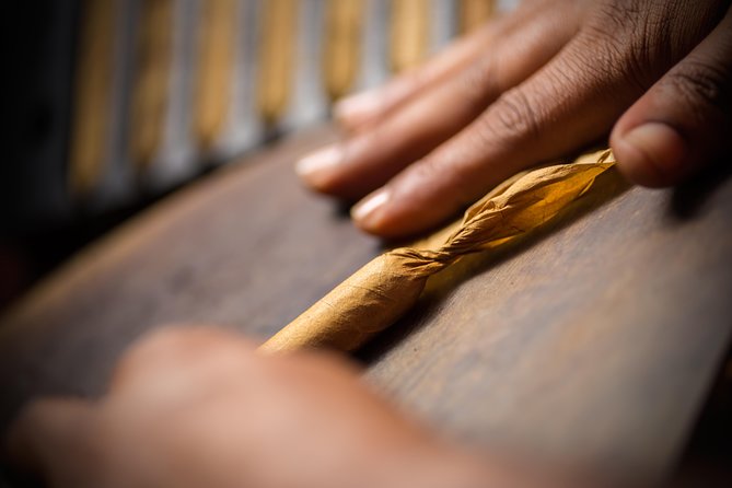 Dominican Cigar Factory Tour - Why this small factory visit is worth your time