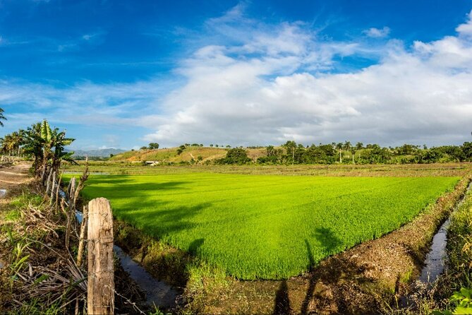 Dominican countryside, culture and beach escape with lunch - Music, Group Energy, and the Bus Ride