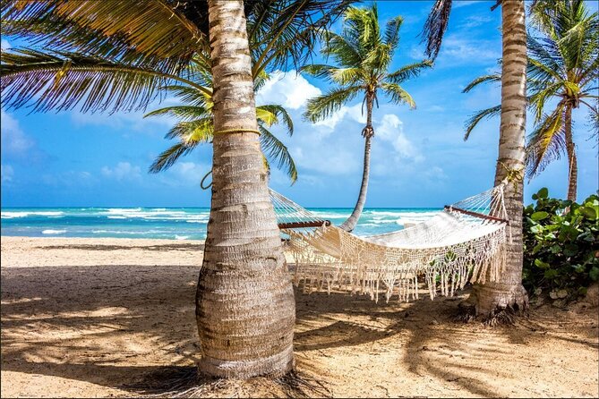 Dominican countryside, culture and beach escape with lunch - Who Will Get the Most From This Tour