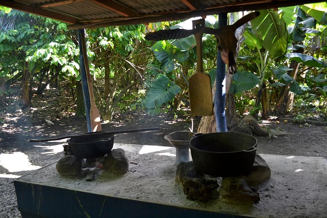 Dominican Republic Countryside Safari Tour from Punta Cana - Why this countryside tour is worth considering
