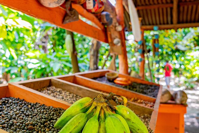 Dominican Republic Countryside Safari Tour from Punta Cana - What the eight-hour schedule feels like