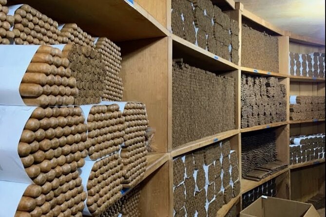 Don Lucas Cigar Factory & Store + Premium Rum Tasting (3 hours) - Rum tasting at the bar