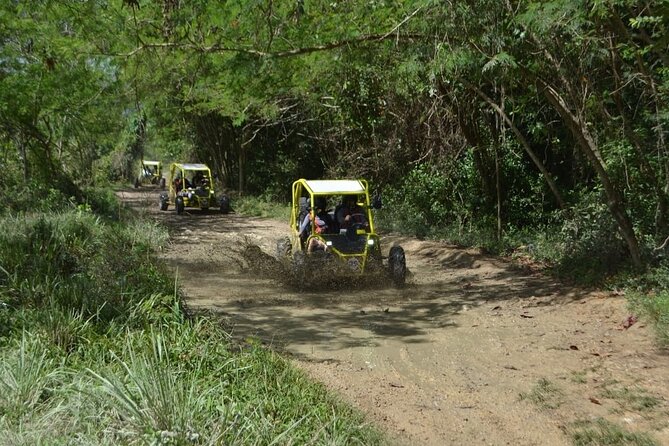 Dune Buggies Adventure - Coffee and cocoa in Muñoz