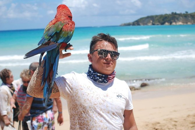 Dune Buggy Adventure by Caribbean Tour Service - Practical planning for a smoother day