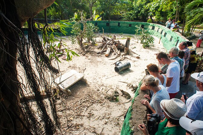 Eco Exploration: Golf Cart Adventure and Catamaran Cruise - Golf carts, gardens, and Punta Cana’s early days